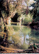 Rio Frio er en af Spaniens bedste steder for lystfiskere.
