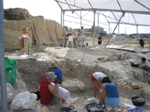 Graves�sonen er juli-august hvert �r. Resten af tiden g�r med at analysere resultaterne p� laboratorium.