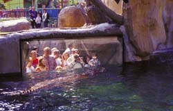 Det bliver billigere for storfamilien at g� i zoologisk have.