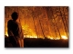 Brand�velser