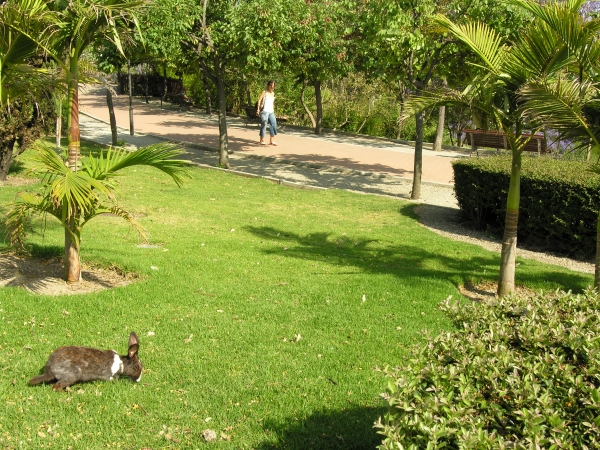 Paloma Park i Benalmadena Paloma Park i Benalmadena