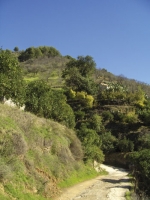 Naturen omringer til alle sider landsbymilj�et i Tolox. Det kunne have udviklet sig til kystens n�ste Marbella, men ved denne lejlighed har automregering og domstole reageret hurtigt. Noget har de l�rt af fortidens fors�mmelser.