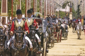 I l�bet af dagen er hesten hovedperson p� Jerez� feria.
