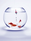 � Gilles Cohen - Fotolia.