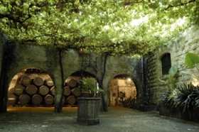 Sherry er den mest milj�venlige industri, man kan forestille sig. Foto: Natascha Berg Madsen.