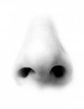 � makuba - Fotolia.com