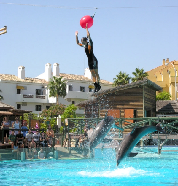 SELWO - Delfinarium i Benalmadena SELWO - Delfinarium i Benalmadena