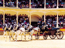 Tyref�gterarenaen La Maestranza er et af Rondas mange arkitektonisk mesterv�rker. (Foto: La Maestranza de Ronda)